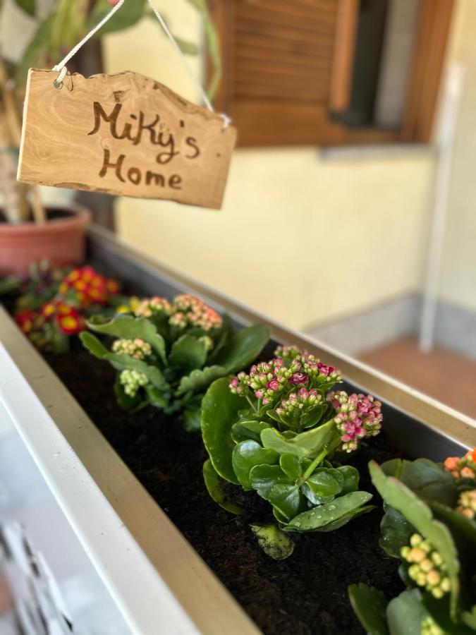 Miky'S Home Leggiuno 外观 照片