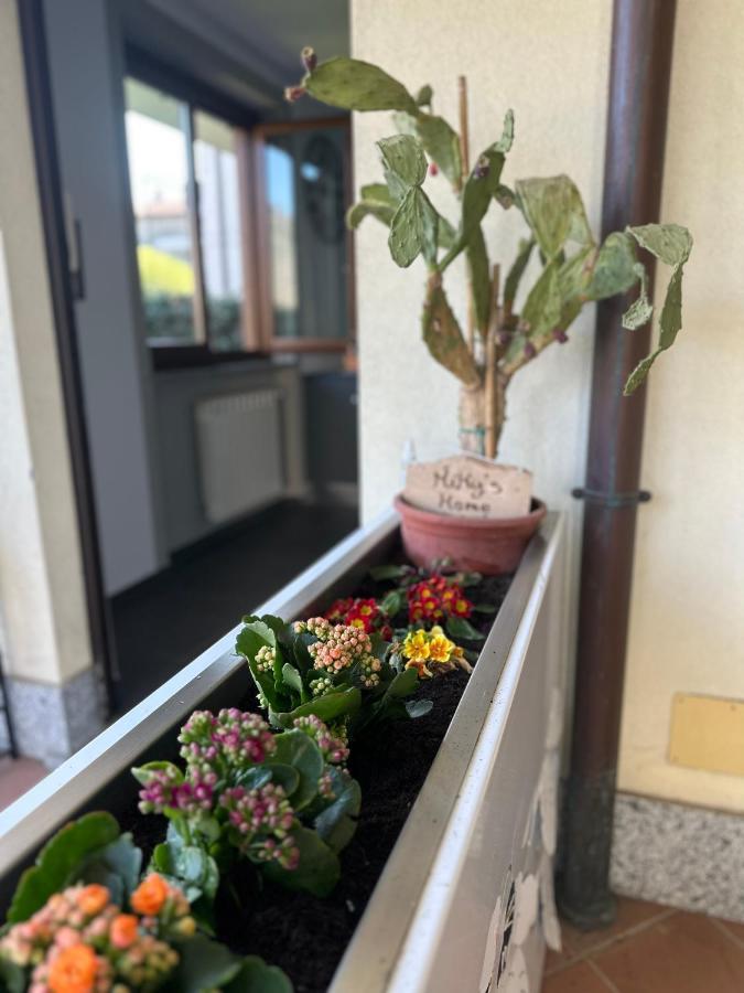 Miky'S Home Leggiuno 外观 照片